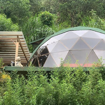 Magic Elf Glamping Lägenhet Mindo Exteriör bild