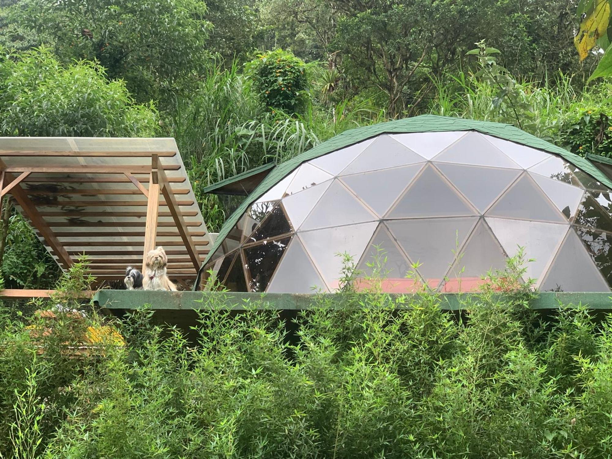 Magic Elf Glamping Lägenhet Mindo Exteriör bild