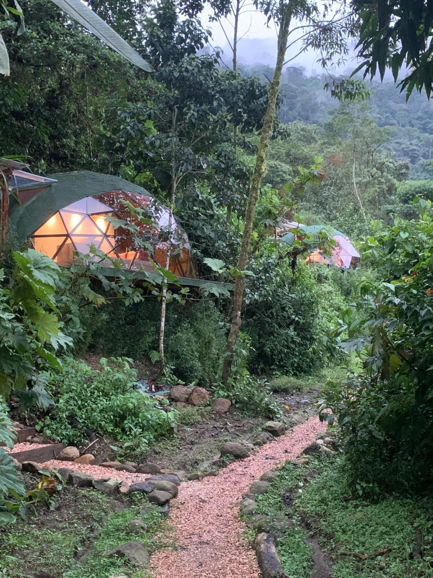 Magic Elf Glamping Lägenhet Mindo Exteriör bild